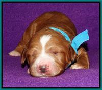 Noelle Dempsey 1 wk old 201