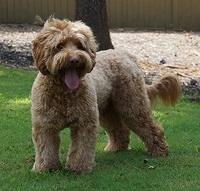 Flicker Aug 28 201521