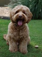 Flicker Aug 28 201591