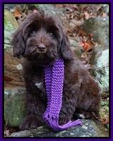 Bellamy family: Maddie