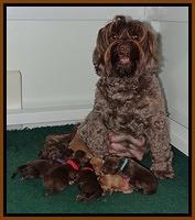 Group Photos